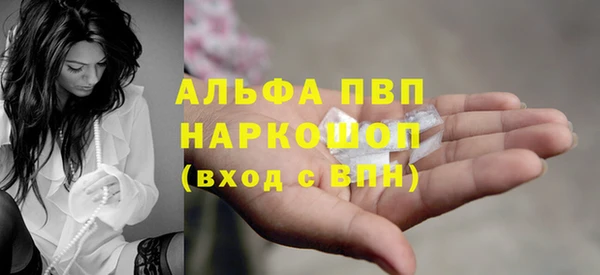 дживик Богородицк