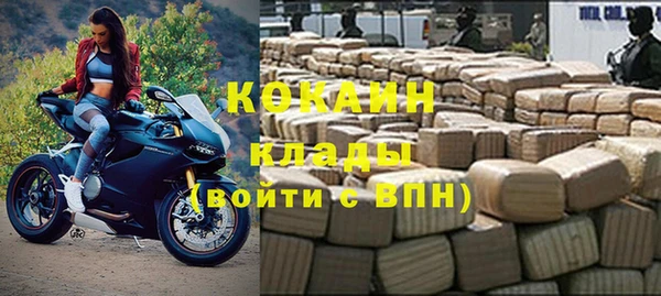 дживик Богородицк