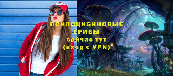 круглые Бородино