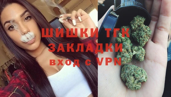 дживик Богородицк