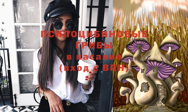 дживик Богородицк