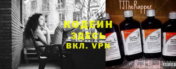дживик Богородицк