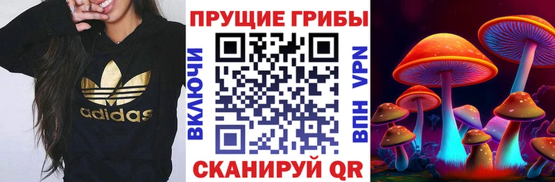 Купить где  Солигалич  Псилоцибиновые грибы мухоморы 